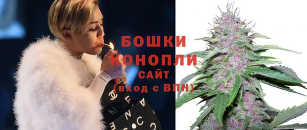 твердый Абаза