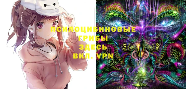твердый Абаза