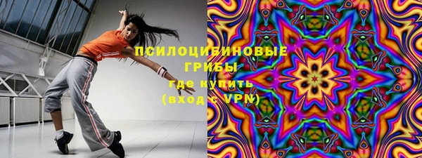 твердый Абаза