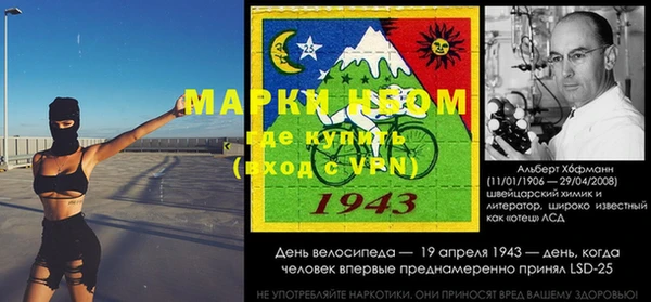 твердый Абаза