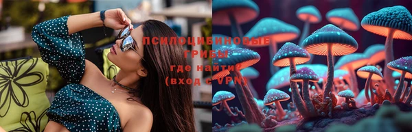твердый Абаза